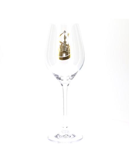 Disneyland Castle Wine Glass