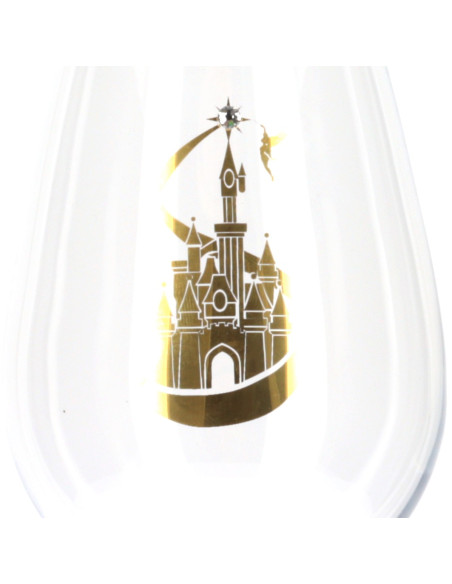 Disneyland Castle Wine Glass