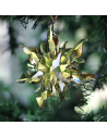 Christmas ornament box