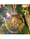 Disneyland Hotel Christmas Ball