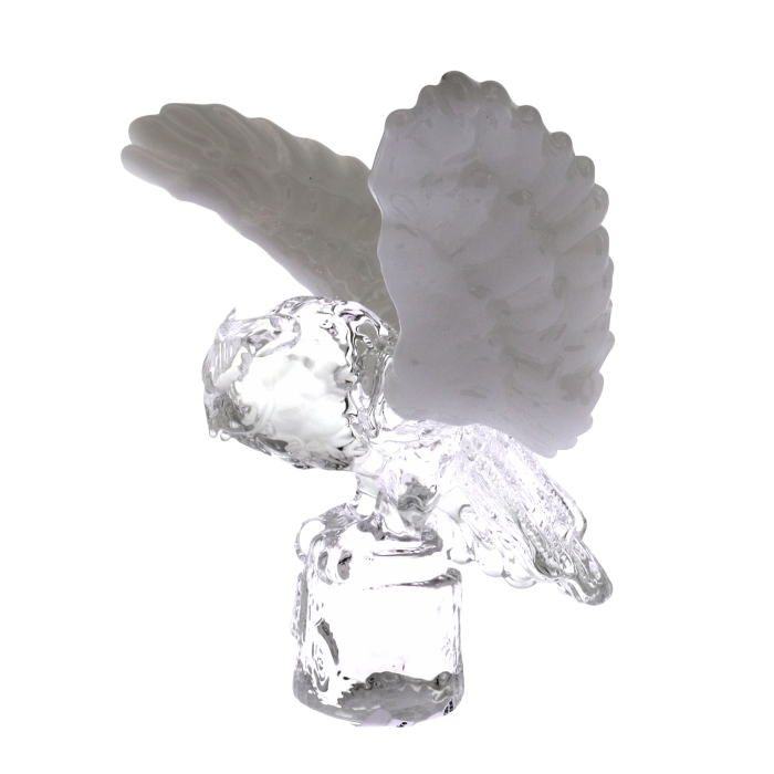 Chouette à ailes blanches