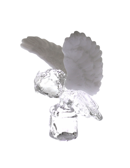 Chouette à ailes blanches