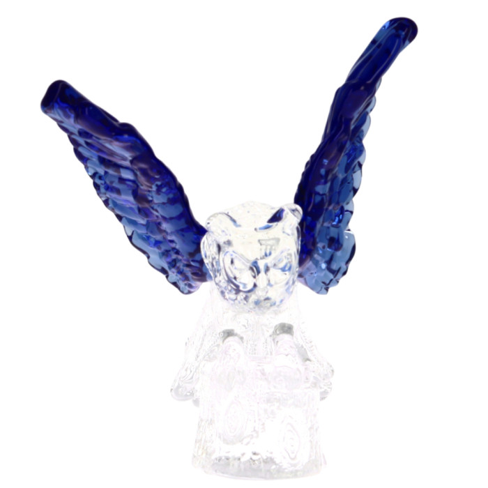 Chouette aux ailes bleues