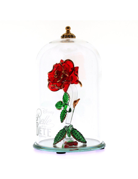 Rose Beauty and the Beast (13cm)