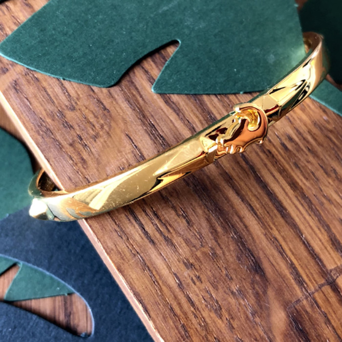 Bracelet Jonc Roi Lion