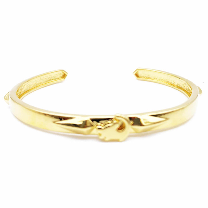 Bracelet Jonc Roi Lion