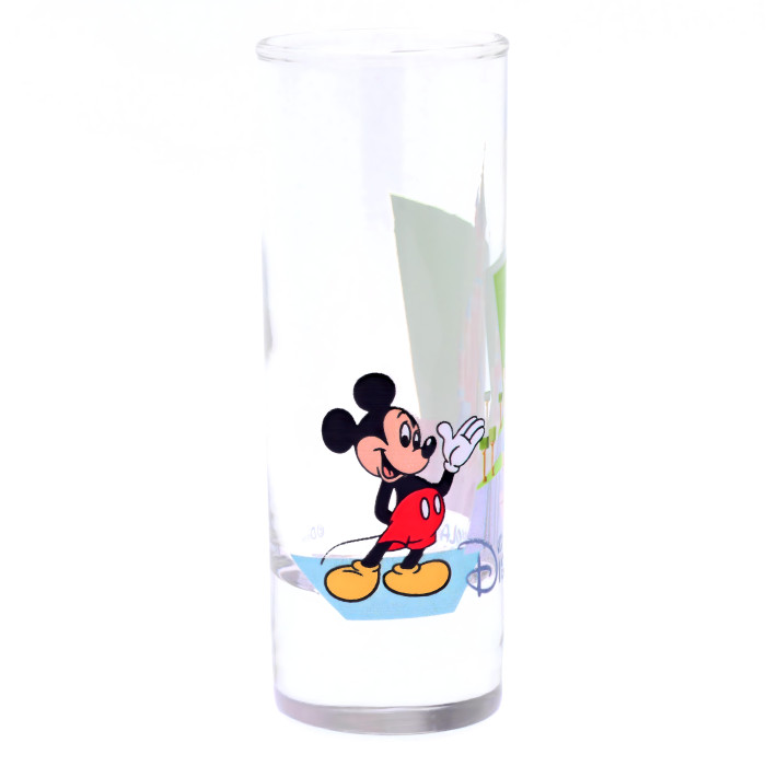 Mickey Castle Verrine