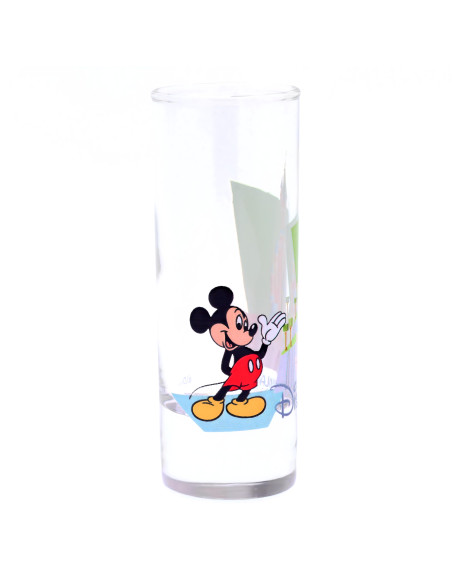 Mickey Castle Verrine