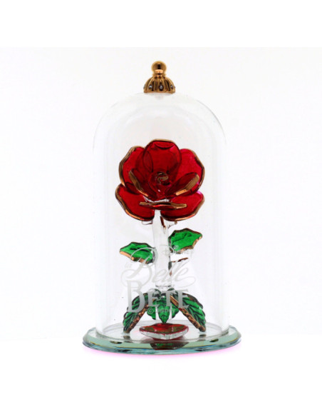 Coffret Rose Éternelle