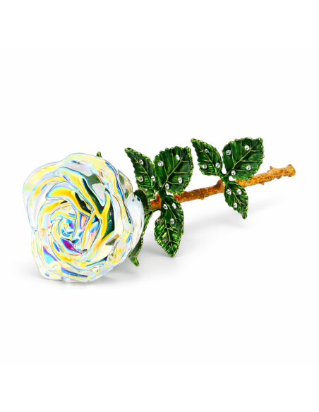 Rose Irisée