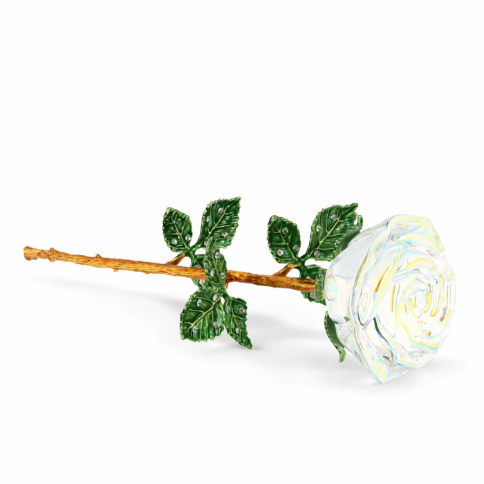 Rose Irisée