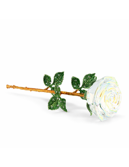 Rose Irisée