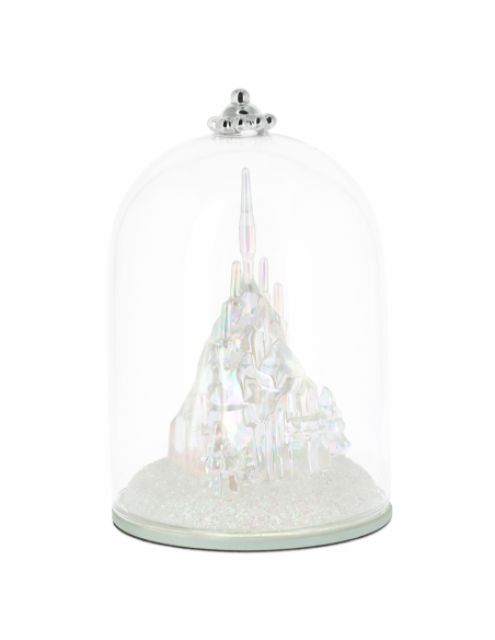 Frozen Castle Under Dome