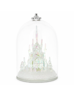 Frozen Castle Under Dome