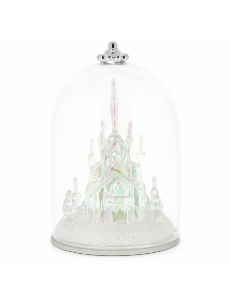 Frozen Castle Under Dome