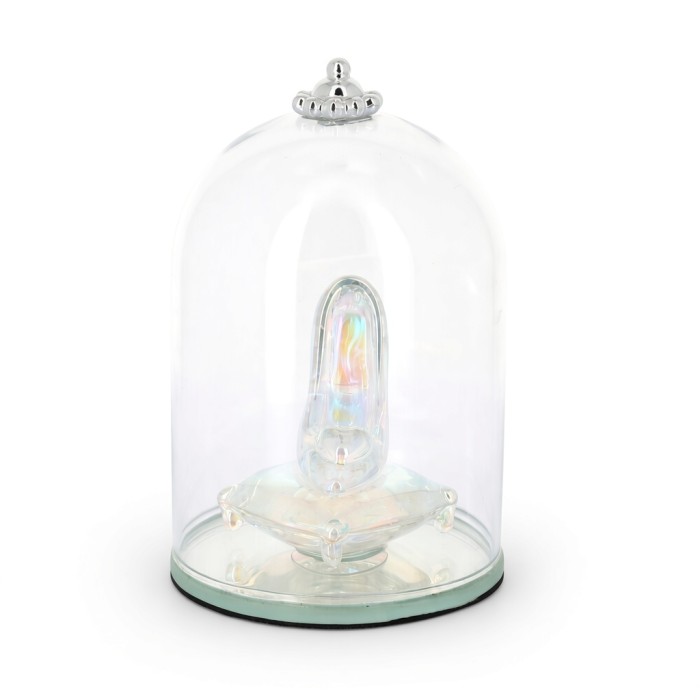 Slipper Under Dome