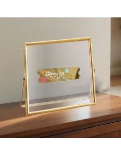 Ticket gold Adventure world 2