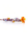 Rapunzel's magic wand