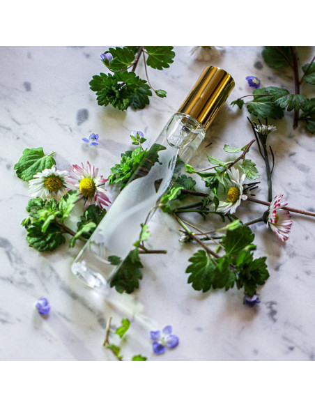 Vaporisateur Parfum Cendrillon