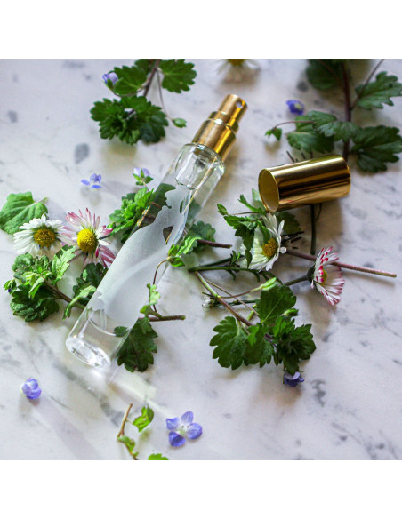 Vaporisateur Parfum Cendrillon